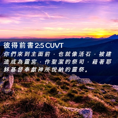 Picture 02 - 彼 得 前 書 2:5 CUVT - 你 們 來 到 主 面 前 ， 也 就 像 活 - Bible Verse Picture