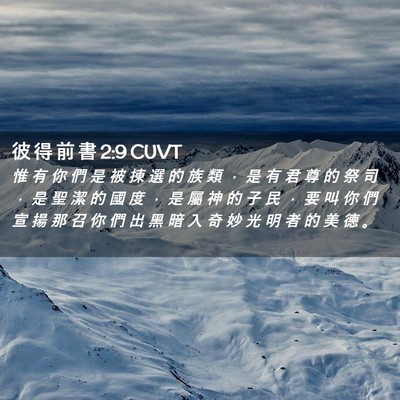 Picture 02 - 彼 得 前 書 2:9 CUVT - 惟 有 你 們 是 被 揀 選 的 族 類 ， - Bible Verse Picture