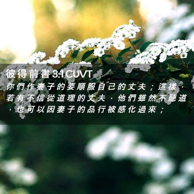 Picture 02 - 彼 得 前 書 3:1 CUVT - 你 們 作 妻 子 的 要 順 服 自 己 的 - Bible Verse Picture