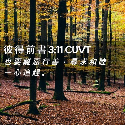 Picture 02 - 彼 得 前 書 3:11 CUVT - 也 要 離 惡 行 善 ， 尋 求 和 睦 ， - Bible Verse Picture