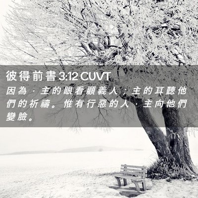 Picture 02 - 彼 得 前 書 3:12 CUVT - 因 為 ， 主 的 眼 看 顧 義 人 ； 主 - Bible Verse Picture