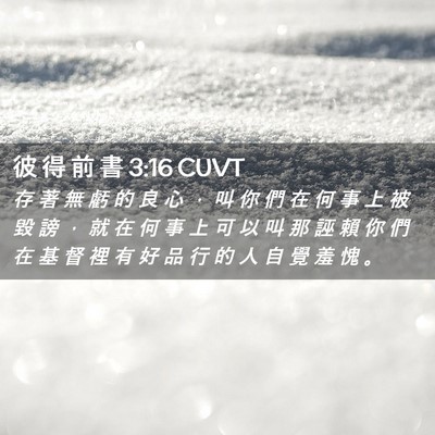 Picture 02 - 彼 得 前 書 3:16 CUVT - 存 著 無 虧 的 良 心 ， 叫 你 們 在 - Bible Verse Picture