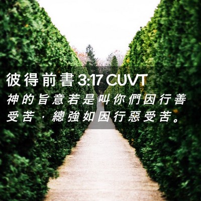 Picture 02 - 彼 得 前 書 3:17 CUVT - 神 的 旨 意 若 是 叫 你 們 因 行 善 - Bible Verse Picture