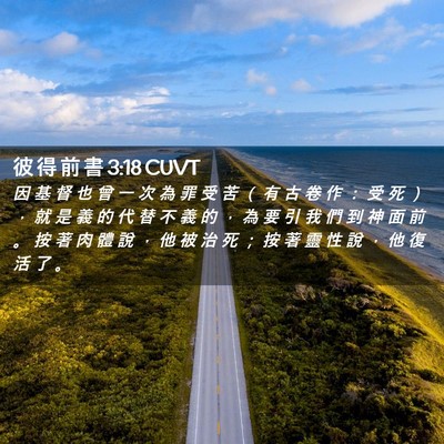 Picture 02 - 彼 得 前 書 3:18 CUVT - 因 基 督 也 曾 一 次 為 罪 受 苦 （ - Bible Verse Picture