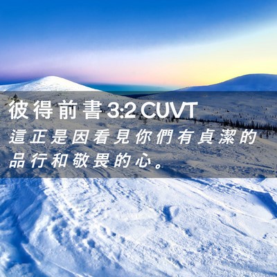Picture 02 - 彼 得 前 書 3:2 CUVT - 這 正 是 因 看 見 你 們 有 貞 潔 的 - Bible Verse Picture