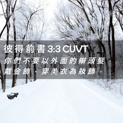 Picture 02 - 彼 得 前 書 3:3 CUVT - 你 們 不 要 以 外 面 的 辮 頭 髮 ， - Bible Verse Picture