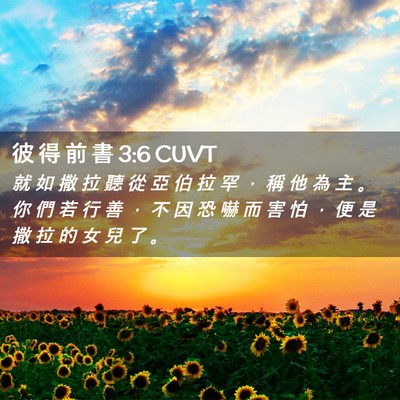Picture 02 - 彼 得 前 書 3:6 CUVT - 就 如 撒 拉 聽 從 亞 伯 拉 罕 ， 稱 - Bible Verse Picture