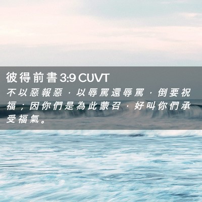 Picture 02 - 彼 得 前 書 3:9 CUVT - 不 以 惡 報 惡 ， 以 辱 罵 還 辱 罵 - Bible Verse Picture
