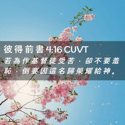Picture 02 - 彼 得 前 書 4:16 CUVT - 若 為 作 基 督 徒 受 苦 ， 卻 不 要 - Bible Verse Picture
