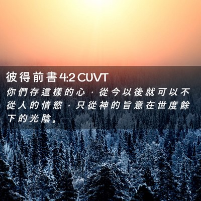 Picture 02 - 彼 得 前 書 4:2 CUVT - 你 們 存 這 樣 的 心 ， 從 今 以 後 - Bible Verse Picture