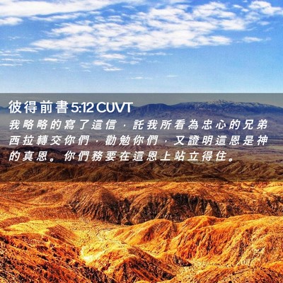 Picture 02 - 彼 得 前 書 5:12 CUVT - 我 略 略 的 寫 了 這 信 ， 託 我 所 - Bible Verse Picture