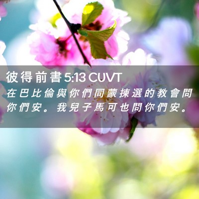 Picture 02 - 彼 得 前 書 5:13 CUVT - 在 巴 比 倫 與 你 們 同 蒙 揀 選 的 - Bible Verse Picture