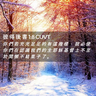 Picture 02 - 彼 得 後 書 1:8 CUVT - 你 們 若 充 充 足 足 的 有 這 幾 樣 - Bible Verse Picture