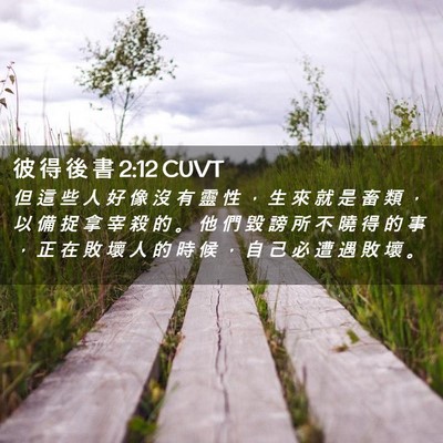 Picture 02 - 彼 得 後 書 2:12 CUVT - 但 這 些 人 好 像 沒 有 靈 性 ， 生 - Bible Verse Picture
