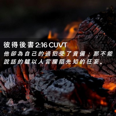 Picture 02 - 彼 得 後 書 2:16 CUVT - 他 卻 為 自 己 的 過 犯 受 了 責 備 - Bible Verse Picture