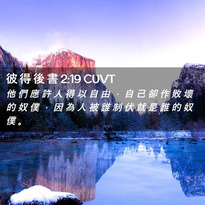 Picture 02 - 彼 得 後 書 2:19 CUVT - 他 們 應 許 人 得 以 自 由 ， 自 己 - Bible Verse Picture