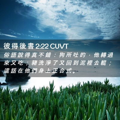 Picture 02 - 彼 得 後 書 2:22 CUVT - 俗 語 說 得 真 不 錯 ： 狗 所 吐 的 - Bible Verse Picture