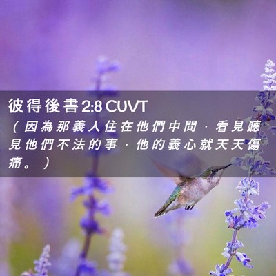 Picture 02 - 彼 得 後 書 2:8 CUVT - （ 因 為 那 義 人 住 在 他 們 中 間 - Bible Verse Picture