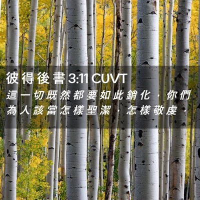 Picture 02 - 彼 得 後 書 3:11 CUVT - 這 一 切 既 然 都 要 如 此 銷 化 ， - Bible Verse Picture