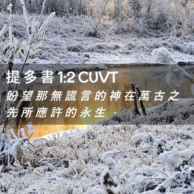 Picture 02 - 提 多 書 1:2 CUVT - 盼 望 那 無 謊 言 的 神 在 萬 古 之 - Bible Verse Picture