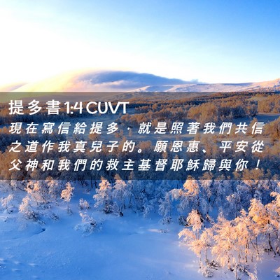 Picture 02 - 提 多 書 1:4 CUVT - 現 在 寫 信 給 提 多 ， 就 是 照 著 - Bible Verse Picture