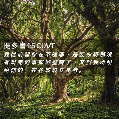 Picture 02 - 提 多 書 1:5 CUVT - 我 從 前 留 你 在 革 哩 底 ， 是 要 - Bible Verse Picture