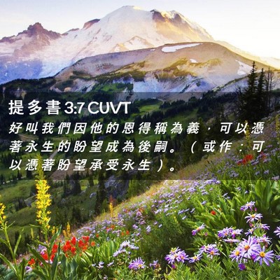 Picture 02 - 提 多 書 3:7 CUVT - 好 叫 我 們 因 他 的 恩 得 稱 為 義 - Bible Verse Picture