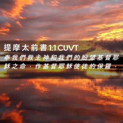 Picture 02 - 提 摩 太 前 書 1:1 CUVT - 奉 我 們 救 主 神 和 我 們 的 盼 望 - Bible Verse Picture
