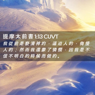 Picture 02 - 提 摩 太 前 書 1:13 CUVT - 我 從 前 是 褻 瀆 神 的 ， 逼 迫 人 - Bible Verse Picture