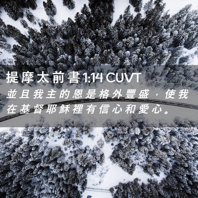 Picture 02 - 提 摩 太 前 書 1:14 CUVT - 並 且 我 主 的 恩 是 格 外 豐 盛 ， - Bible Verse Picture