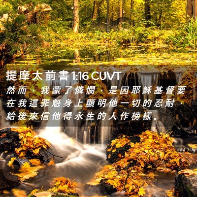 Picture 02 - 提 摩 太 前 書 1:16 CUVT - 然 而 ， 我 蒙 了 憐 憫 ， 是 因 耶 - Bible Verse Picture