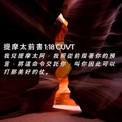 Picture 02 - 提 摩 太 前 書 1:18 CUVT - 我 兒 提 摩 太 阿 ， 我 照 從 前 指 - Bible Verse Picture