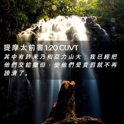 Picture 02 - 提 摩 太 前 書 1:20 CUVT - 其 中 有 許 米 乃 和 亞 力 山 大 ； - Bible Verse Picture