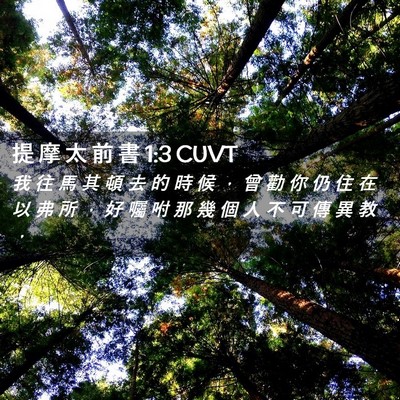 Picture 02 - 提 摩 太 前 書 1:3 CUVT - 我 往 馬 其 頓 去 的 時 候 ， 曾 勸 - Bible Verse Picture