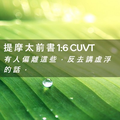 Picture 02 - 提 摩 太 前 書 1:6 CUVT - 有 人 偏 離 這 些 ， 反 去 講 虛 浮 - Bible Verse Picture