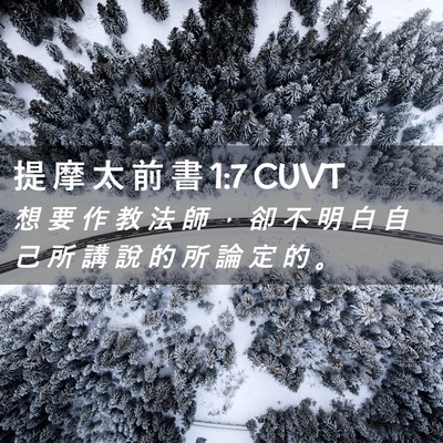 Picture 02 - 提 摩 太 前 書 1:7 CUVT - 想 要 作 教 法 師 ， 卻 不 明 白 自 - Bible Verse Picture