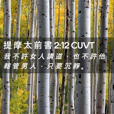 Picture 02 - 提 摩 太 前 書 2:12 CUVT - 我 不 許 女 人 講 道 ， 也 不 許 他 - Bible Verse Picture