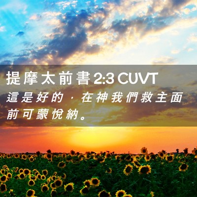 Picture 02 - 提 摩 太 前 書 2:3 CUVT - 這 是 好 的 ， 在 神 我 們 救 主 面 - Bible Verse Picture