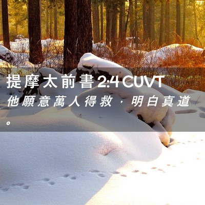 Picture 02 - 提 摩 太 前 書 2:4 CUVT - 他 願 意 萬 人 得 救 ， 明 白 真 道 - Bible Verse Picture