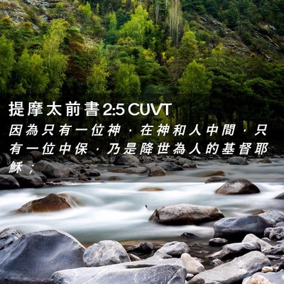 Picture 02 - 提 摩 太 前 書 2:5 CUVT - 因 為 只 有 一 位 神 ， 在 神 和 人 - Bible Verse Picture