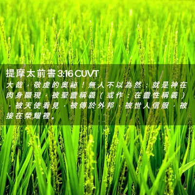 Picture 02 - 提 摩 太 前 書 3:16 CUVT - 大 哉 ， 敬 虔 的 奧 祕 ！ 無 人 不 - Bible Verse Picture