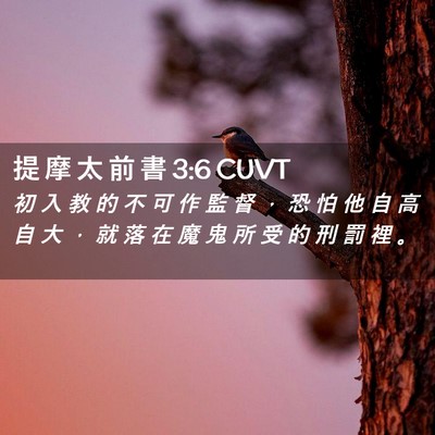 Picture 02 - 提 摩 太 前 書 3:6 CUVT - 初 入 教 的 不 可 作 監 督 ， 恐 怕 - Bible Verse Picture