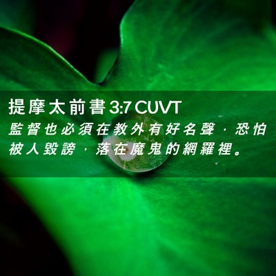 Picture 02 - 提 摩 太 前 書 3:7 CUVT - 監 督 也 必 須 在 教 外 有 好 名 聲 - Bible Verse Picture