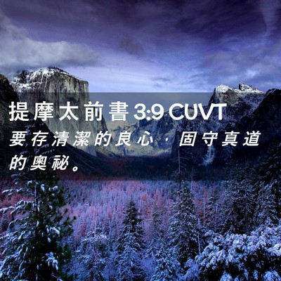Picture 02 - 提 摩 太 前 書 3:9 CUVT - 要 存 清 潔 的 良 心 ， 固 守 真 道 - Bible Verse Picture