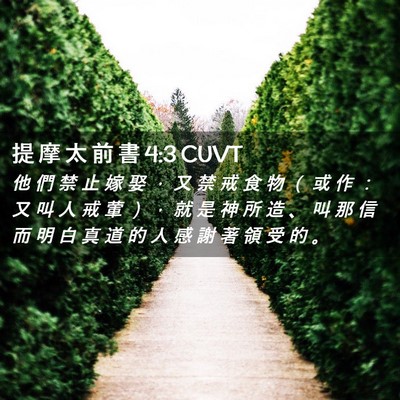 Picture 02 - 提 摩 太 前 書 4:3 CUVT - 他 們 禁 止 嫁 娶 ， 又 禁 戒 食 物 - Bible Verse Picture