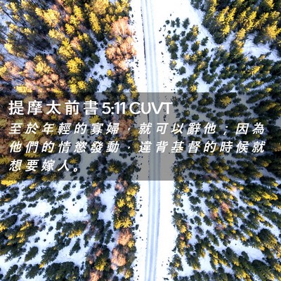 Picture 02 - 提 摩 太 前 書 5:11 CUVT - 至 於 年 輕 的 寡 婦 , 就 可 以 辭 - Bible Verse Picture