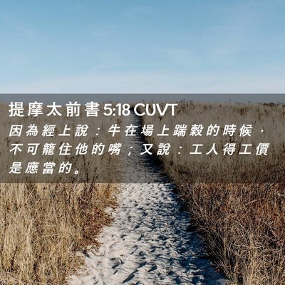 Picture 02 - 提 摩 太 前 書 5:18 CUVT - 因 為 經 上 說 ： 牛 在 場 上 踹 穀 - Bible Verse Picture