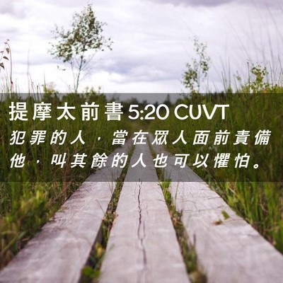 Picture 02 - 提 摩 太 前 書 5:20 CUVT - 犯 罪 的 人 ， 當 在 眾 人 面 前 責 - Bible Verse Picture