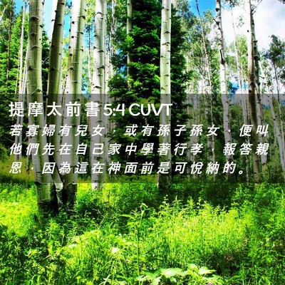 Picture 02 - 提 摩 太 前 書 5:4 CUVT - 若 寡 婦 有 兒 女 ， 或 有 孫 子 孫 - Bible Verse Picture