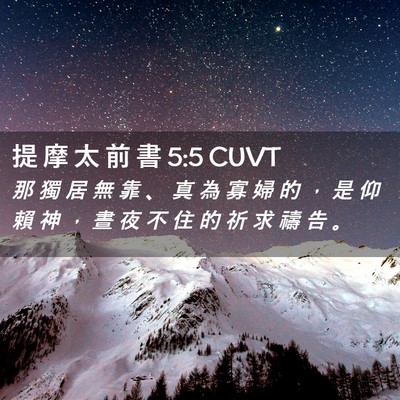Picture 02 - 提 摩 太 前 書 5:5 CUVT - 那 獨 居 無 靠 、 真 為 寡 婦 的 ， - Bible Verse Picture